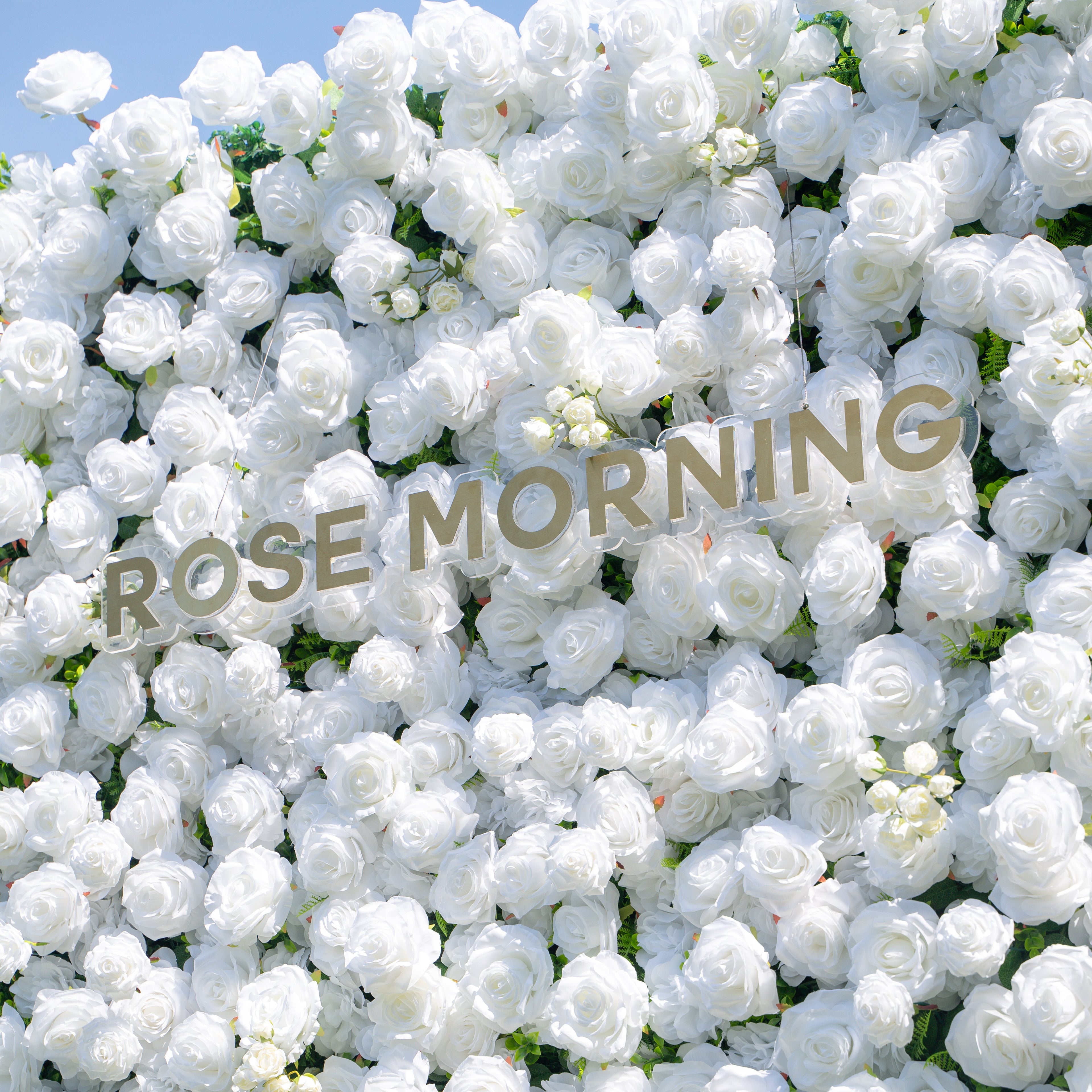 Shy 3D White Flower Wall - Minimalist Wedding Backdrop 8ft×8ft(In US Stock 7-10 Days) Free Shipping