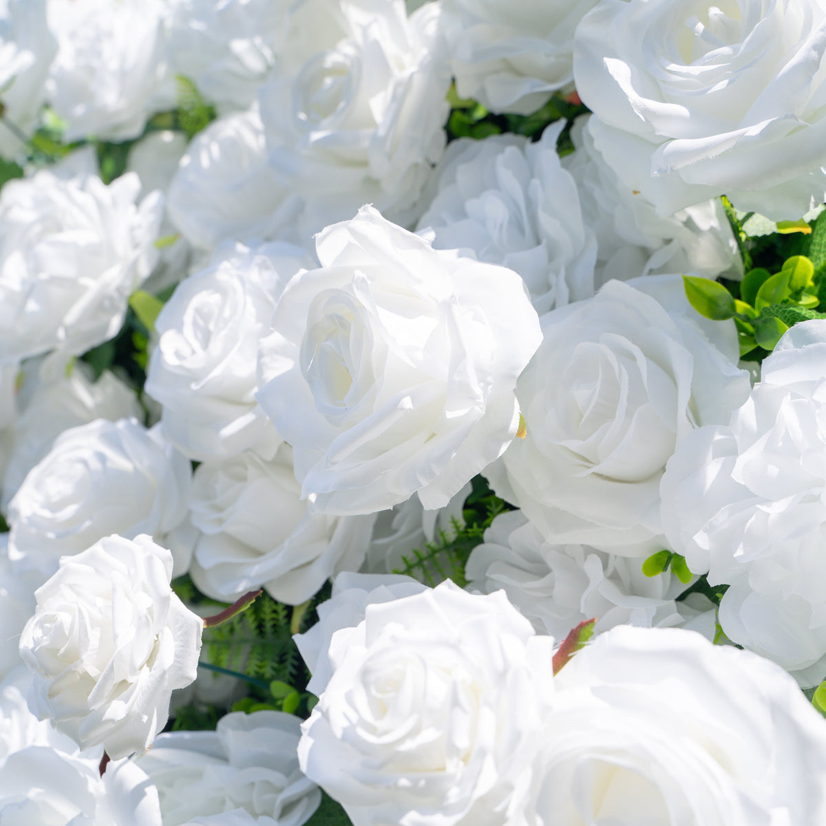 Shy 3D White Flower Wall - Minimalist Wedding Backdrop 8ft×8ft(In US Stock 7-10 Days) Free Shipping