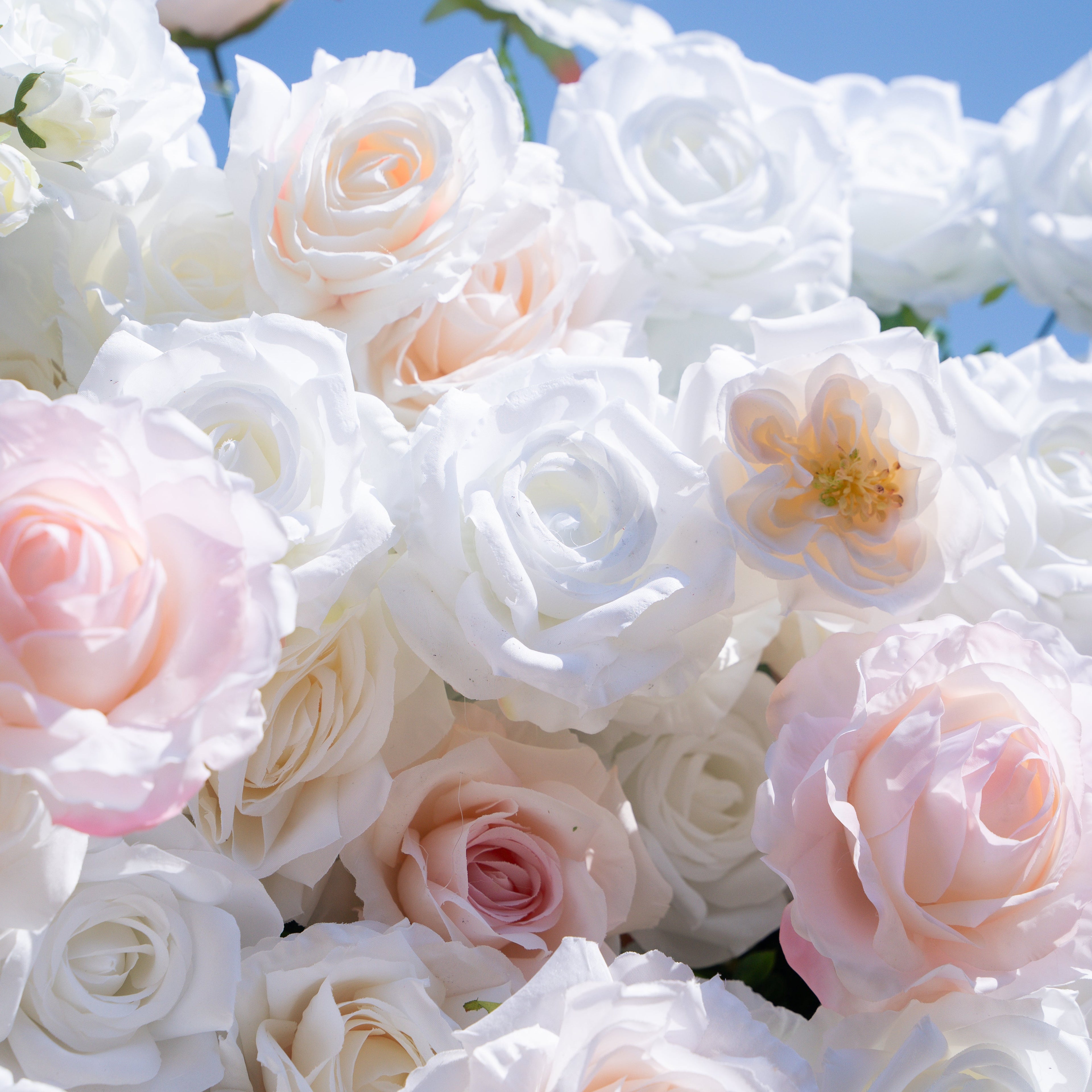 Tiara：5D Fabric Artificial rolling up curtain flower wall Free Shipping