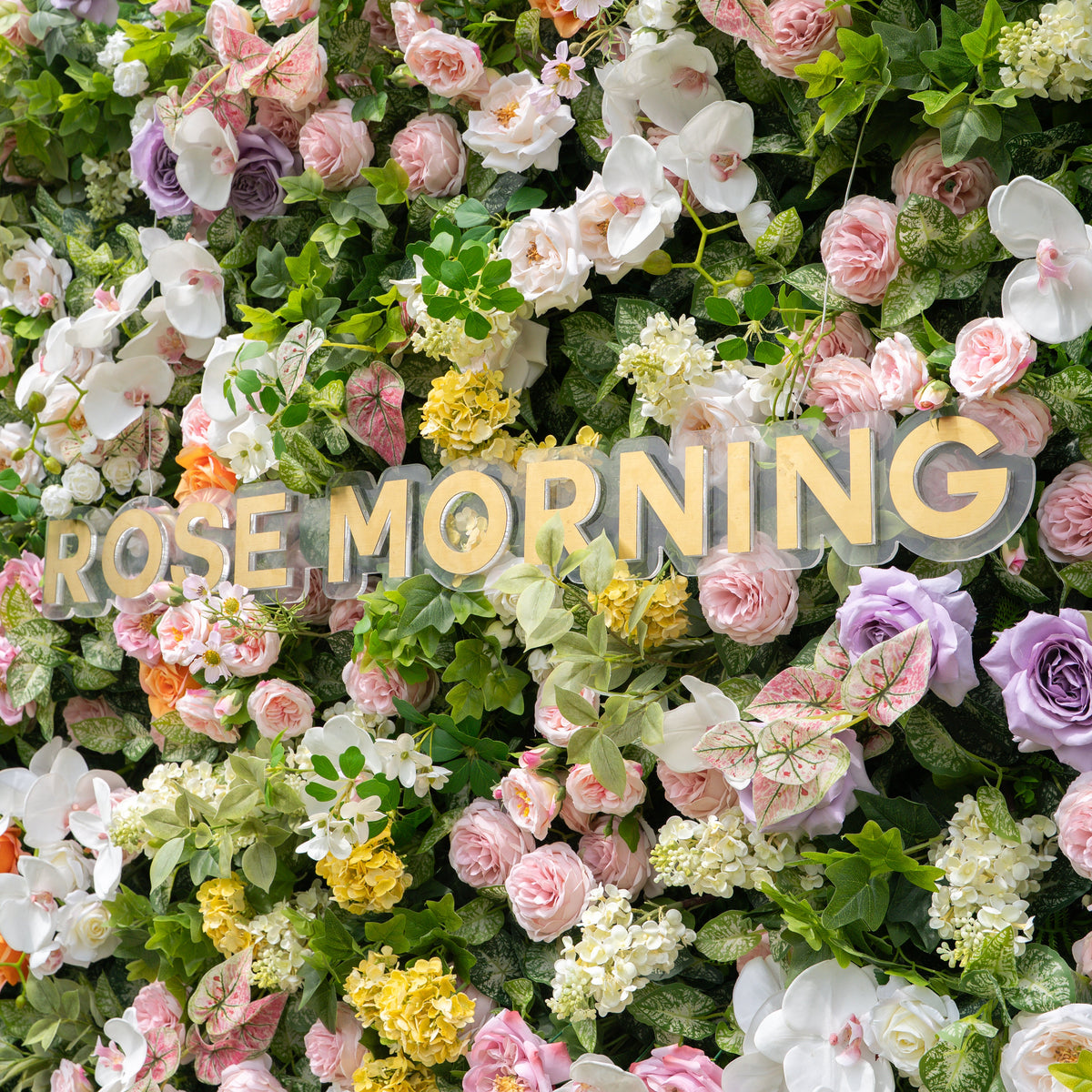 Viola - Autumn Fall Unique 5D Fabric Roll Up Flower Wall for Wedding Party Backdrop Free Shipping