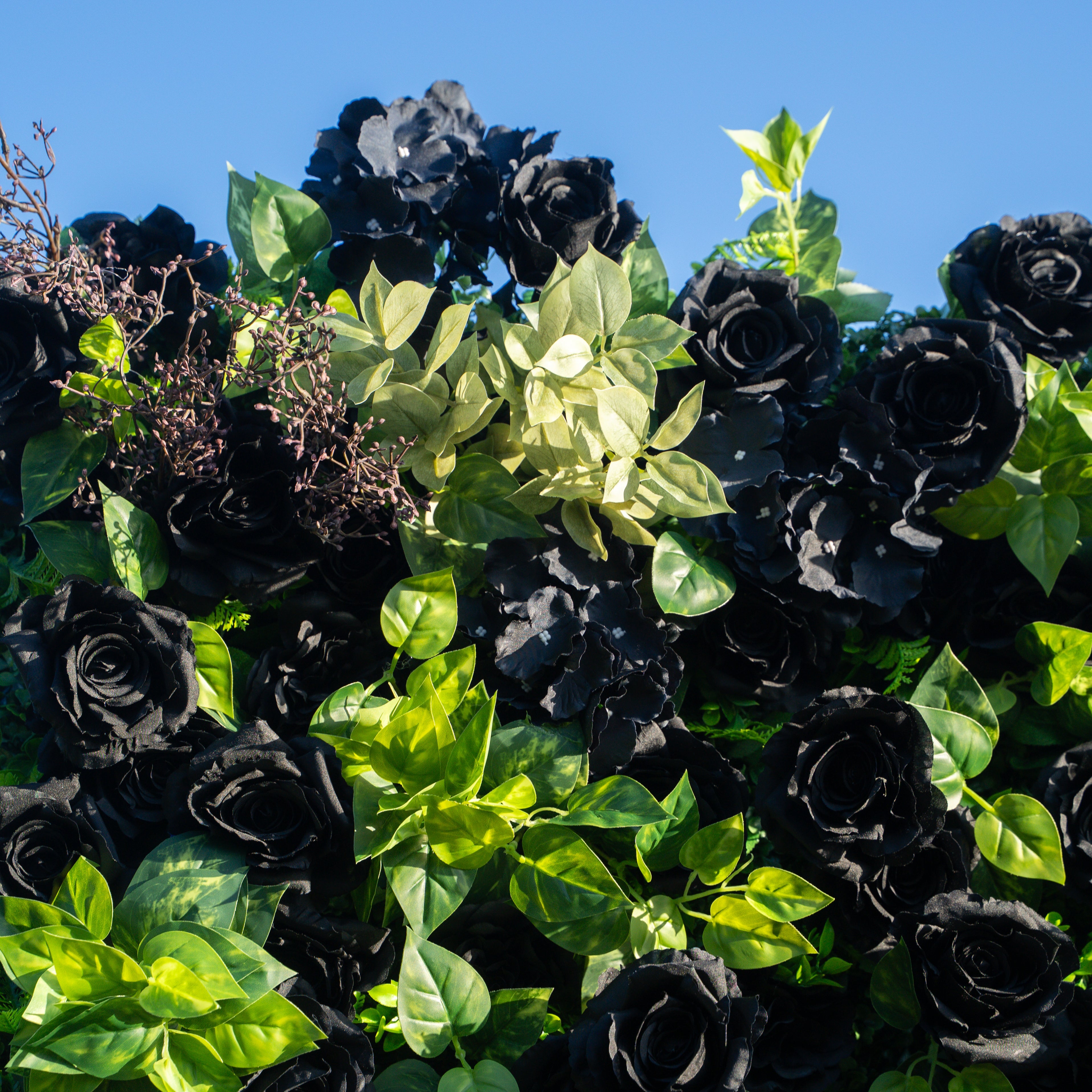 Westminster：3D Fabric Artificial rolling up curtain flower wall（Ready to Ship） Free Shipping