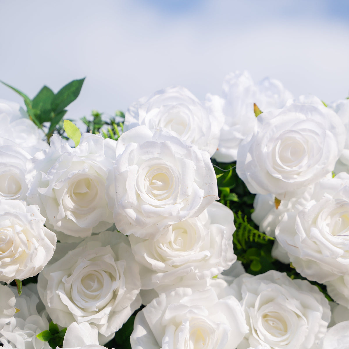 Zephira: 3D Elegant White Silk Rose Flower Wall Roll-Up Fabric Backdrop for Luxury Weddings & Events Free Shipping