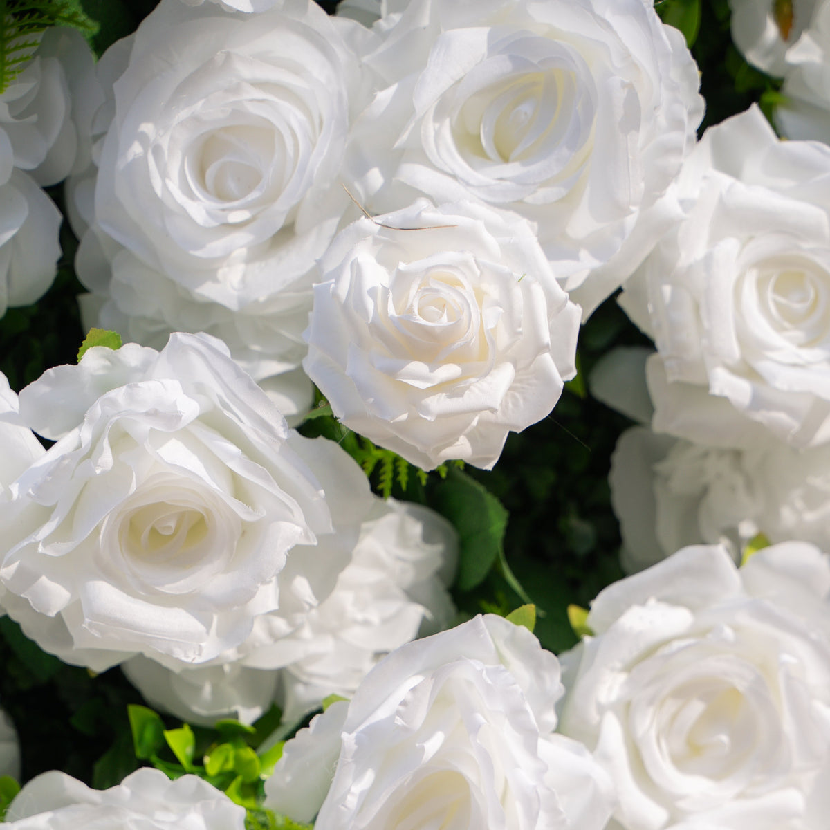 Zephira: 3D Elegant White Silk Rose Flower Wall Roll-Up Fabric Backdrop for Luxury Weddings & Events Free Shipping