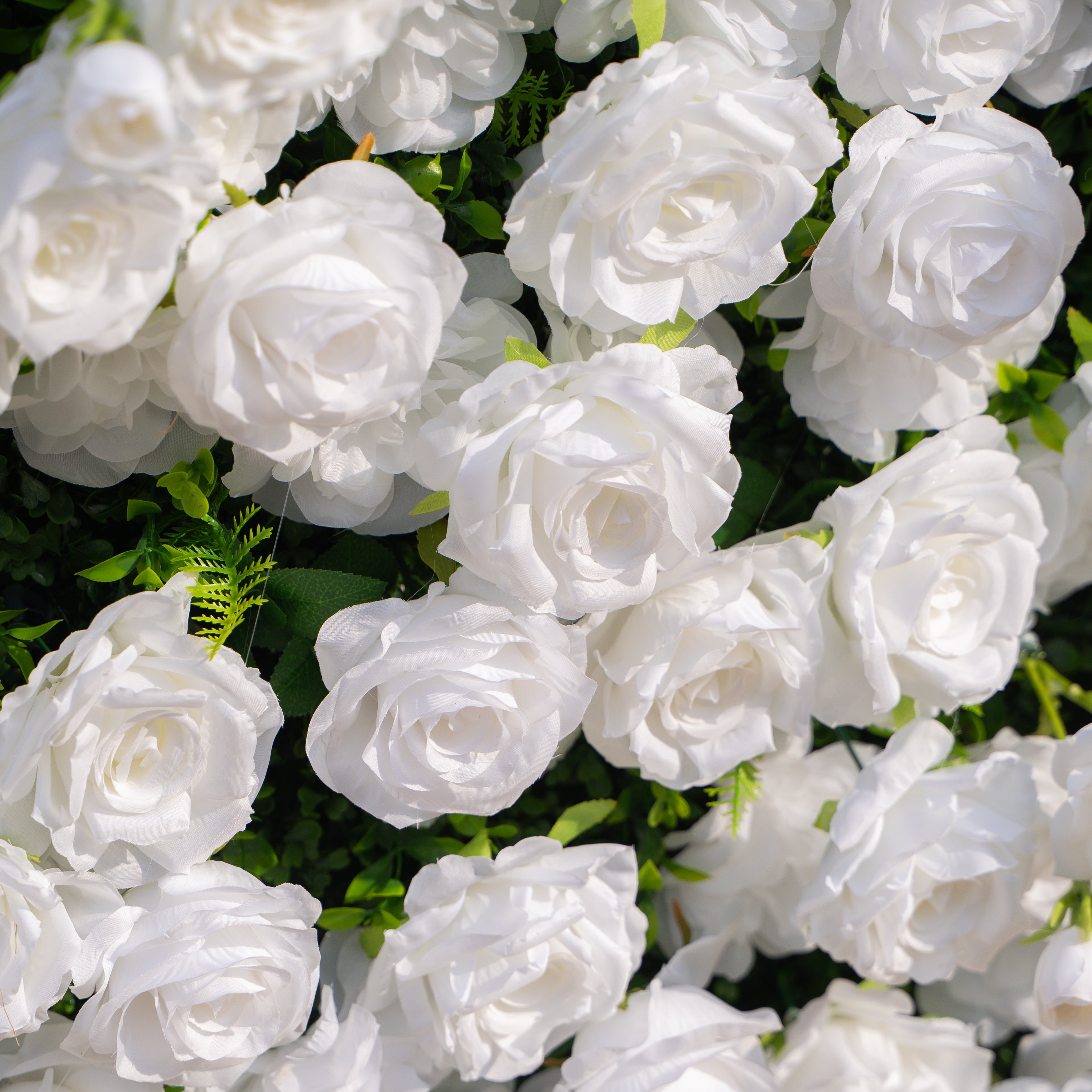 Zephira: 3D Elegant White Silk Rose Flower Wall Roll-Up Fabric Backdrop for Luxury Weddings & Events Free Shipping