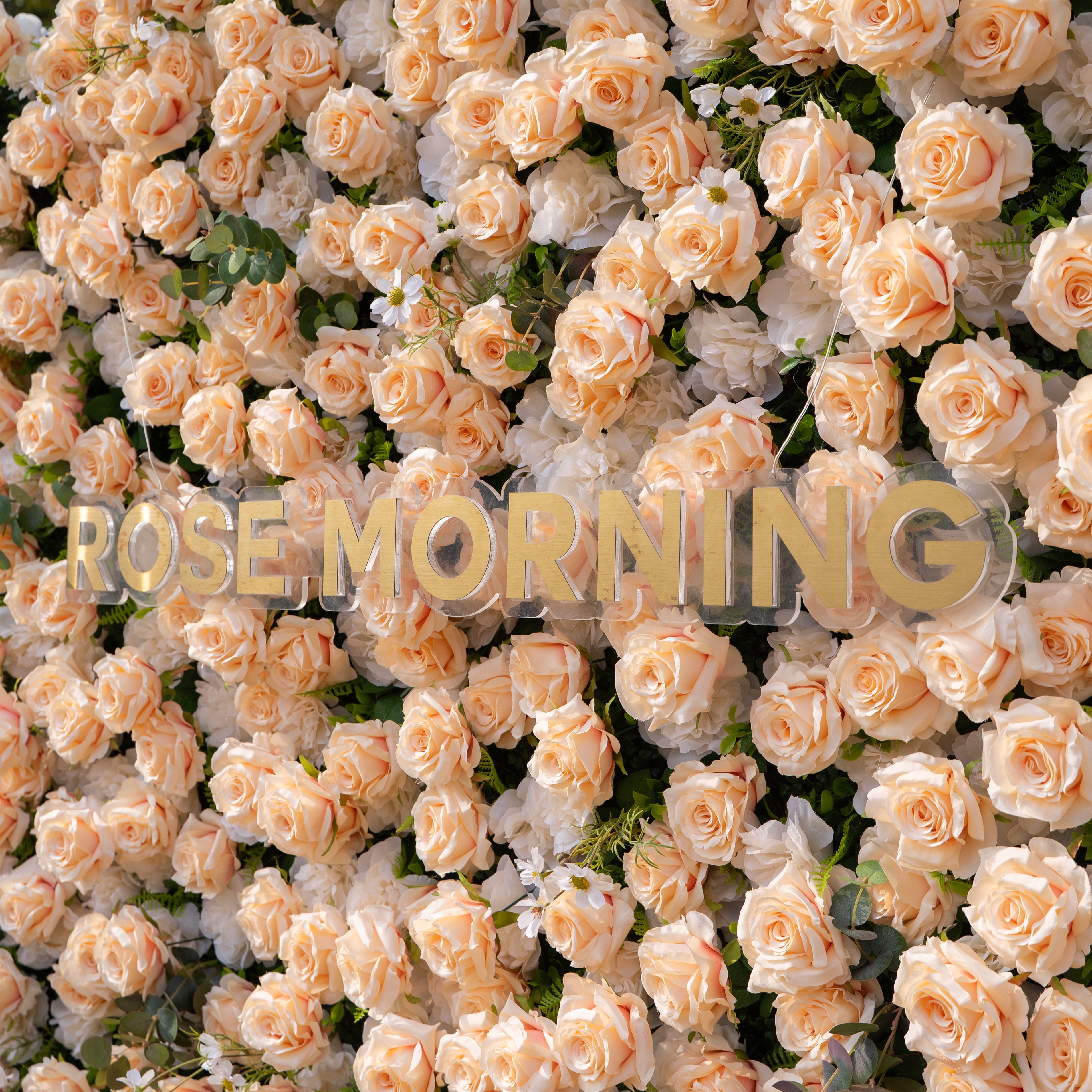 Zephyra: 3D Elegant Champagne Silk Rose Flower Wall Roll-Up Fabric Backdrop for Luxury Weddings & Events Free Shipping