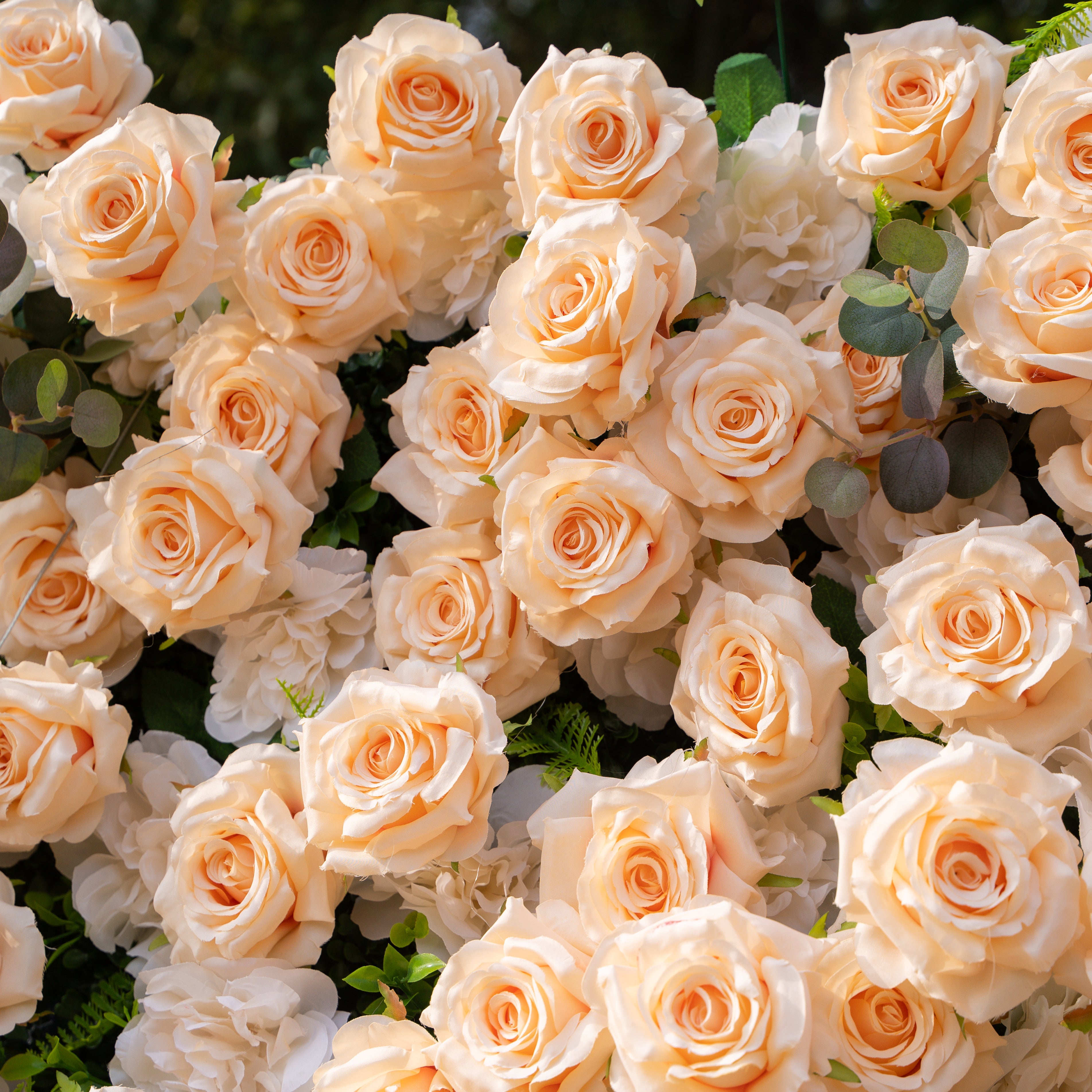 Zephyra: 3D Elegant Champagne Silk Rose Flower Wall Roll-Up Fabric Backdrop for Luxury Weddings & Events Free Shipping