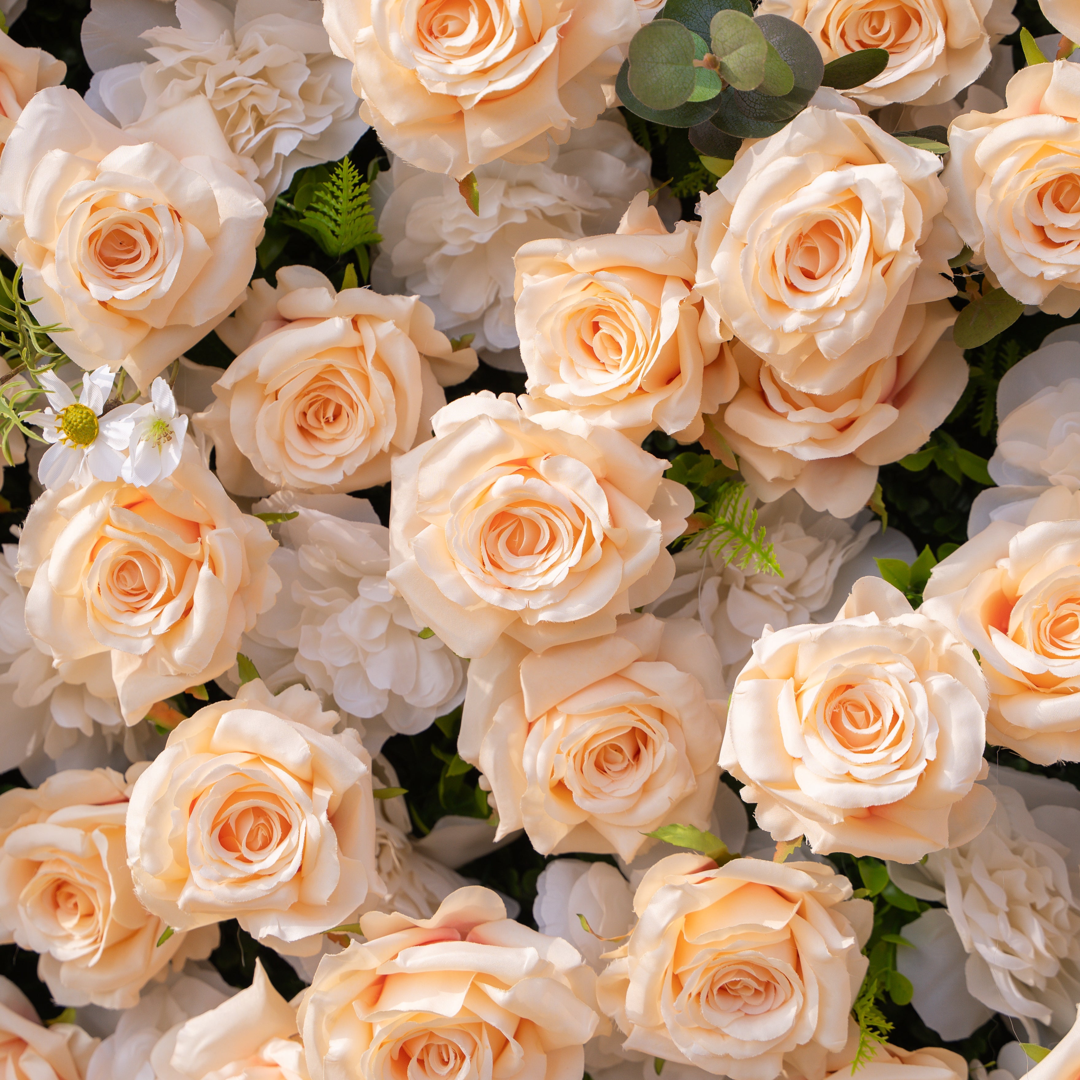 Zephyra: 3D Elegant Champagne Silk Rose Flower Wall Roll-Up Fabric Backdrop for Luxury Weddings & Events Free Shipping